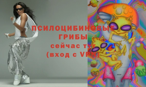 прущий лед Алексин