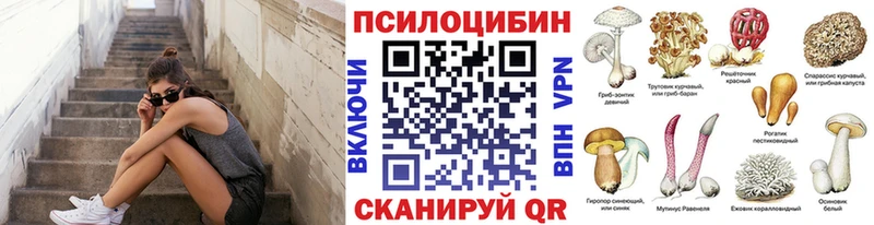 Псилоцибиновые грибы мухоморы Спасск-Рязанский