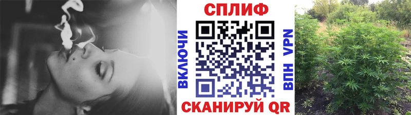 наркошоп  Спасск-Рязанский  Шишки марихуана Ganja 